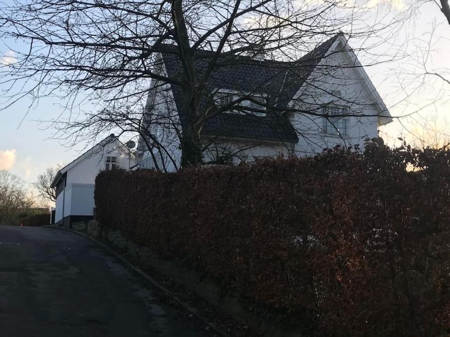 Cozy, Quiet Guest House Perfect For Business Or Pleasure Hillerod Exterior photo